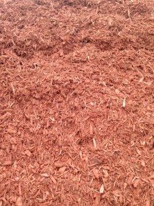 Fiesta Red Mulch