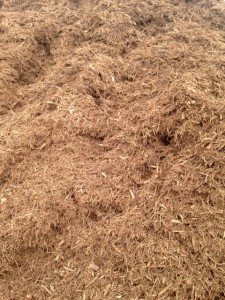 Kiddie Cushion Mulch