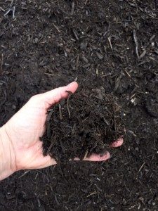 rich compost